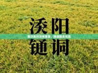 奥尔良对决克莱蒙，预谋胜负究竟