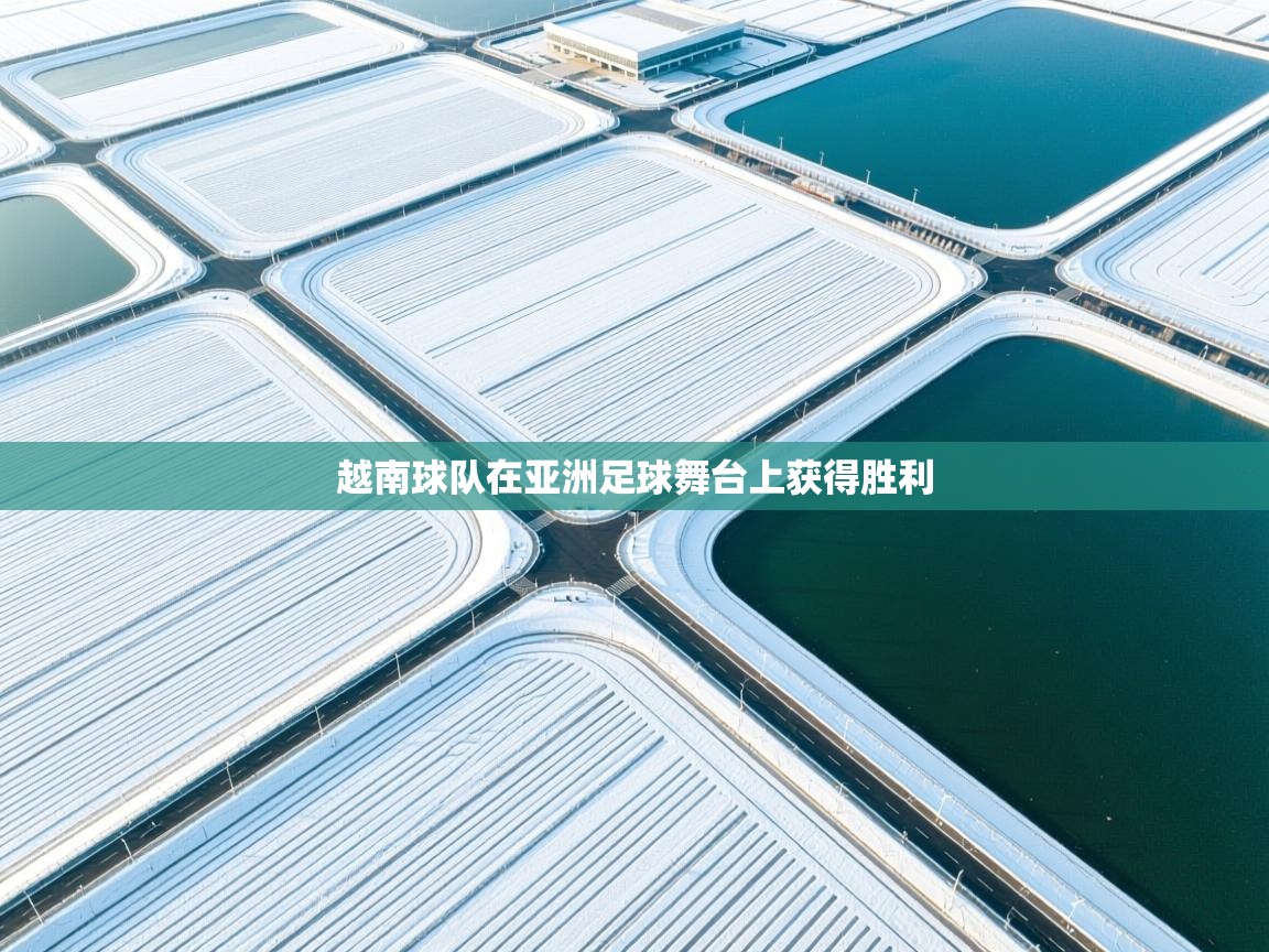 越南球队在亚洲足球舞台上获得胜利