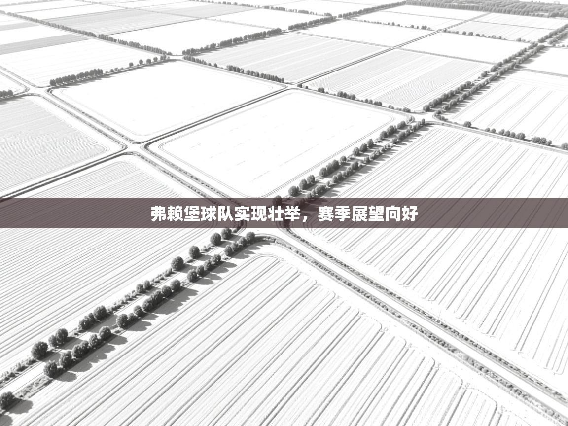 弗赖堡球队实现壮举,赛季展望向好 第1张