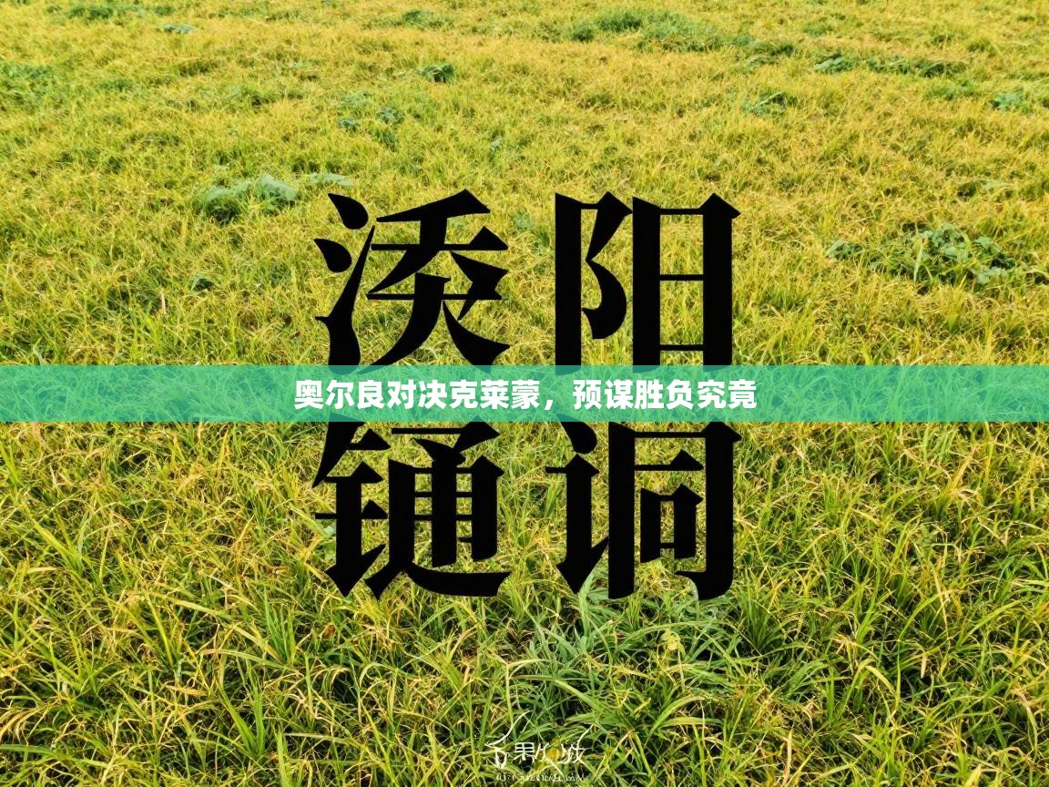 奥尔良对决克莱蒙，预谋胜负究竟  第1张