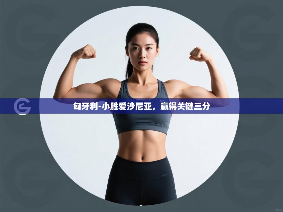 匈牙利-小胜爱沙尼亚，赢得关键三分  第1张